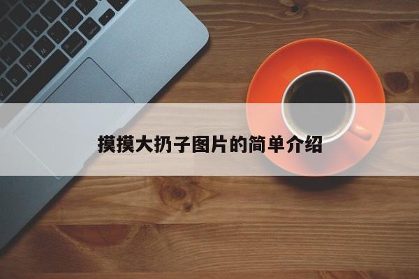 摸摸大扔子图片的简单介绍