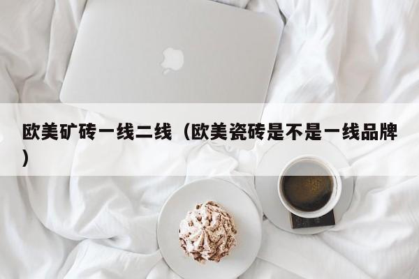 欧美矿砖一线二线（欧美瓷砖是不是一线品牌）